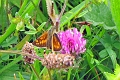 07 07 16_8631_edited-2